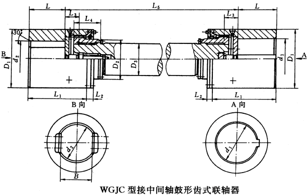 WGJͽgSXʽSμbߴ磨JB/T8821-98